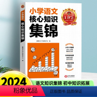 王朝霞小学核心知识集锦[语文] 小学通用 [正版]小学语文阅读训练100篇超详解古诗文阅读理解专项强化训练题书人教版一二