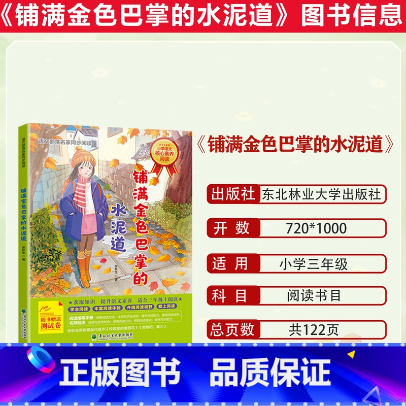 铺满金色巴掌的水泥道 [正版]2023潍坊市暑期青少年读书行动三年级全套儿童哲学智慧书 社会,是什么?汤素兰:时间之箭铺