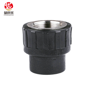 PE热熔内丝直接 4分20mm 个