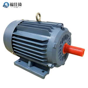 福佳琦 电机 YxT2一100L1一4 台