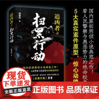 追凶者之扫黑行动 管彦杰 著 小说