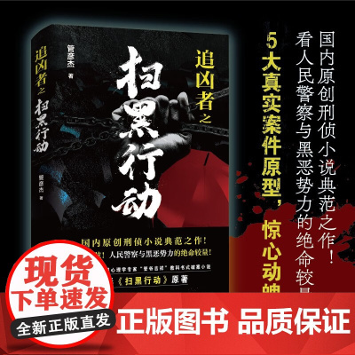 追凶者之扫黑行动 管彦杰 著 小说