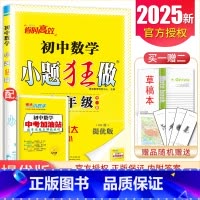 [提优版]九年级全一册数学苏科版 初中通用 [正版]2025初中小题狂做七八九年级下册上册提优版巅峰语文数学英语物理化学