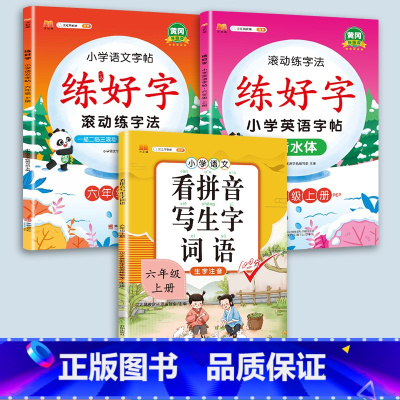 6上字帖+看拼音 [正版]二年级上册练字帖小学生一年级三四五六年级练好字语文同步练字本衡水体英语滚动练字法人教版每日一练