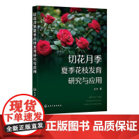 切花月季夏季花枝发育研究与应用 寒地生产切花月季夏季短枝问题研究书 夏秋季花枝形态测试与研究 切花月季生产研究人员参考书