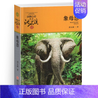 象母怨 [正版]侏罗纪龙鸟升级版沈石溪动物小说大王品藏书系小学三四五六年级课外阅读书籍动物小说大王品藏书系生课外阅读适用