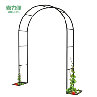 喜力健 铁艺拱门花架 1.8*2.5*0.4M 个