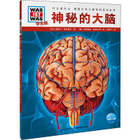 醉染图书神秘的大脑 学生版9787556432059