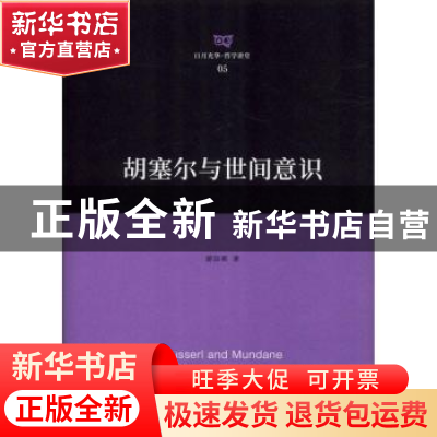 正版 胡塞尔与世间意识 游淙祺 上海人民出版社 9787208155923 书