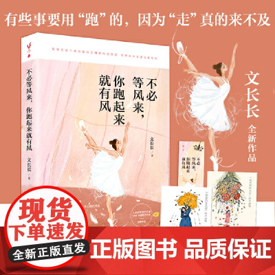 不必等风来,你跑起来就有风 (找到让自己免除依赖、压迫和恐惧的活法。不只是实力 文长长 新世界出版社 正版书籍