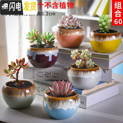 三维工匠多肉花盆套装组合创意个性简约植物盆器室内肉肉花盆批发 如图款式5 中等花盆容器