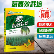 大葱种子蔬菜图片 大葱种子蔬菜图片大全 苏宁易购