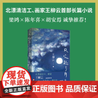 风吹起了月光(北漂画家王柳云长篇小说 梁鸿×陈年喜×胡安焉诚挚 )