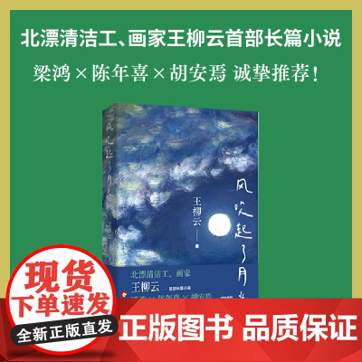 风吹起了月光(北漂画家王柳云长篇小说 梁鸿×陈年喜×胡安焉诚挚 )