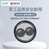 秦源牌 YJLV22-0.6/1KV-2*50mm² 铝芯低压铠装电力电缆 元/米 定制商品 联系客服