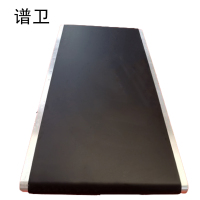 谱卫电动传送带MS2000