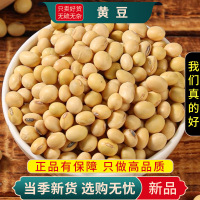 甄选黄豆100克五谷杂粮粗粮榨豆浆黄豆另售黑豆赤小豆9260