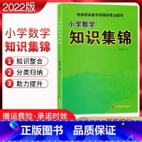 [正版]2022版 小学数学知识集锦通用版 小学数学知识大全 小学数学资料包 快速提高数学成绩的得力助手123456年