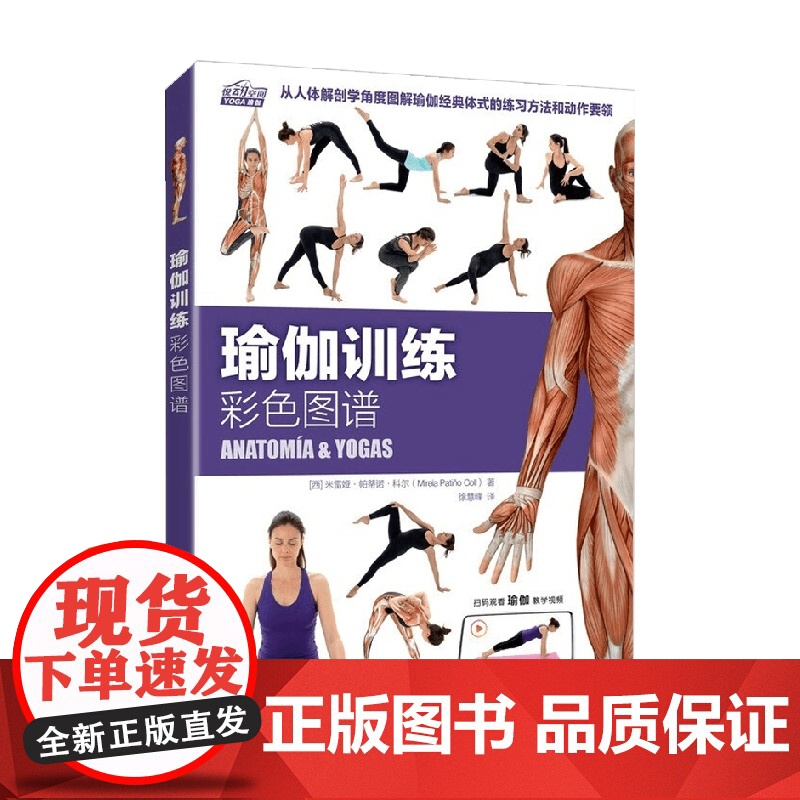 瑜伽训练彩色图谱 米雷娅·帕蒂诺·科尔 著 养生保健