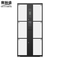 赛颐盛电子存包柜人脸识别6门台