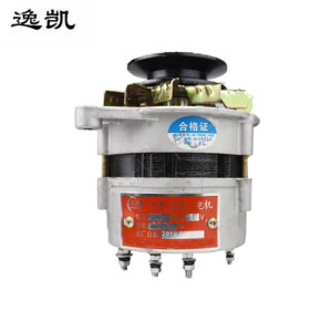 逸凯 发电机 DN25 /个