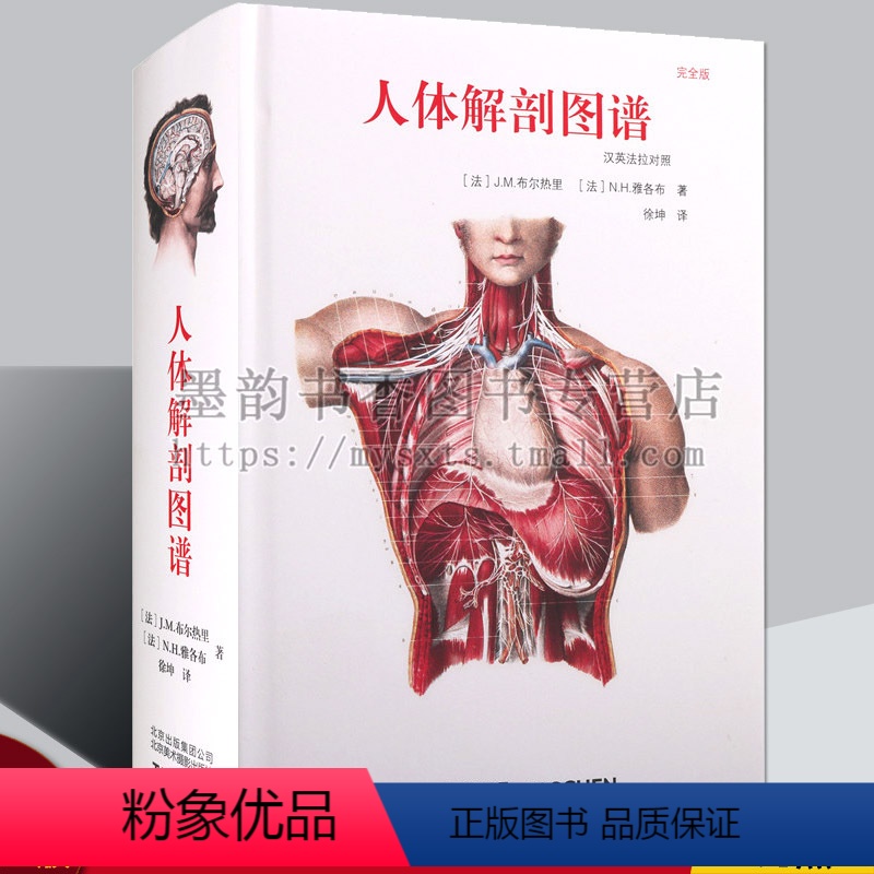 [正版]人体解剖图谱-汉英法拉对照 J.M.布尔热里著高清解剖学图谱作品西方医学基础医学人体解剖学人体艺用解剖图鉴中英