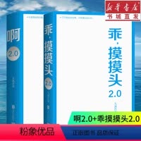 [正版]大冰2020新书2册 啊2.0+乖摸摸头2.0 新增10万字 散文集 岁月沉淀 故事与羁绊 现当代文学小