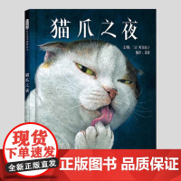 猫爪之夜(正版硬壳精装)町田尚子,猫咪宠物幻想故事儿童绘本3三-4-5到6岁以上幼儿园大中小班宝宝孩子早教阅读睡前故事图