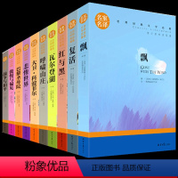 [正版]世界十大经典文学名著 名家名译全套共10册 复活飘红与黑瓦尔登湖悲惨世界巴黎圣母院简爱青少年成人外国文学小