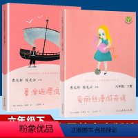 2本]鲁滨逊漂流记+爱丽丝漫游奇境 [正版]鲁滨逊漂流记爱丽丝漫游奇境六年级下册阅读课外书必读人教版 6年级下册快乐读书