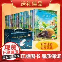 精彩童年读经典名著系列礼盒版全20册 彩图注音版尼尔斯骑鹅历险记昆虫记海底两万里经典世界儿童文学名著小学生一二三年级课外