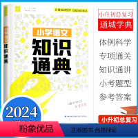 小学语文知识通典 小学通用 [正版]2024通成学典 小学语文知识通典 全国通用1-6年级统编语文知识精华基础知识大全字