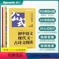 现代文+古诗文阅读 七年级/初中一年级 [正版]2024新星火初中语文现代文古诗文阅读七年级语文阅读理解专项训练文言文现