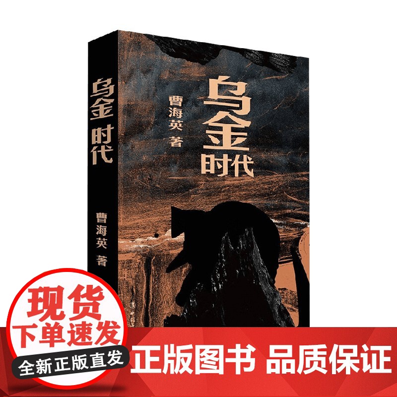 乌金时代 曹海英 著 中国文学