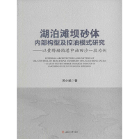 音像湖泊滩坝砂体内部构型及控油模式研究吴小斌 著