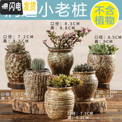 三维工匠多肉花盆陶瓷创意个性粗陶透气家用大口径盆栽小花盆 润达小老桩(6个) 小花盆容器