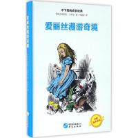 正版新书]爱丽丝漫游奇境(英)刘易斯·卡罗尔 著;马爱农 译 著作9