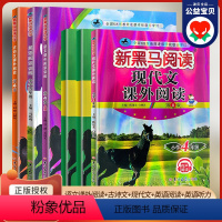 古诗文课外阅读 小学四年级 [正版]2024年版 四年级上册下册现代文课外阅读4年级上下张煦教你阅读A版B版英语阅读训练