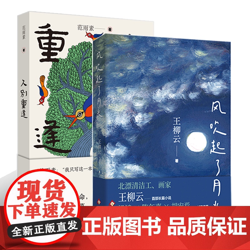 风吹起了月光 + 久别重逢 2册套装 王柳云 范雨素 长篇小说 文学 十月文艺 胡安焉我在北京送快递 杨本芬浮木