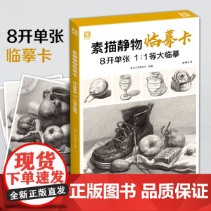 素描静物临摹卡8开临摹范本组合画册集美术基础单个罐子道具结构解析照片写生创意卡片校联考高考名师绘画示范正版图书籍