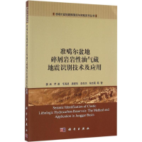 音像准噶尔盆地碎屑岩岩油气藏地震识别技术及应用娄兵 等 著