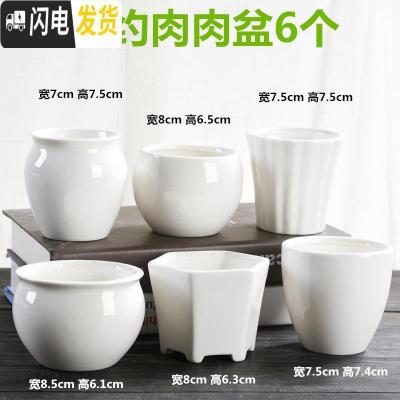 三维工匠六个一组 多肉花盆陶瓷白色简约肉肉植物创意个性小花盆花盆容器