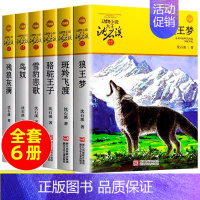 [6册]沈石溪动物小说黄色特辑 [正版]狼王梦沈石溪动物小说系列品藏书系后一头战象8-10-12-15周岁儿童文学三四五