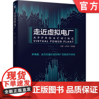 正版 走近虚拟电厂 王鹏 王冬容 智慧能源 信息技术 需求侧管理 需求响应 储能 5G 区块链 商务 控制 优化 典