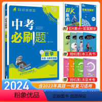 数学 全国通用 [正版]2024新版中考必刷题数学真题诊断自查专题专练全国通用 中考数学真题专项训练复习资料初三九年级中