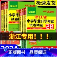 [4本语文+数学]必考知识大盘点+毕业升学考试 小学通用 [正版]2024实验班浙江省小学毕业升学考试试卷精选28套语文