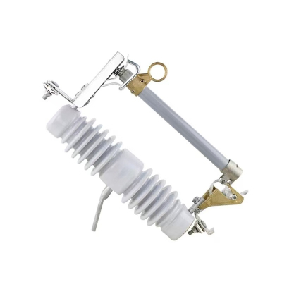 新运 跌落式熔断器RW10 个