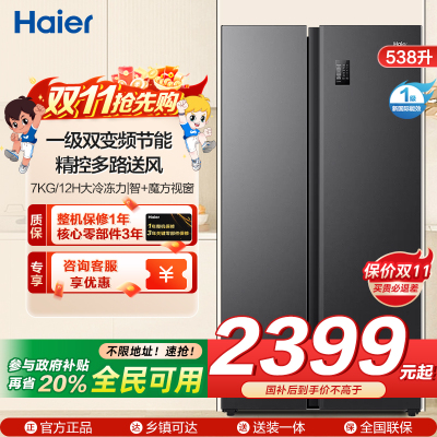 海尔(Haier)538升对开门嵌入冰箱 一级双变频节能 精控多路送风 智+魔方视窗 BCD-538WGHSSEDB9
