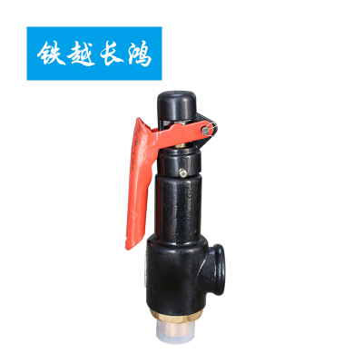 铁越长鸿 安全阀 12立方米 个