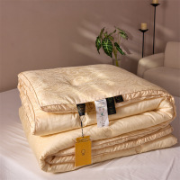 李官奇55%大豆被子母被a类轻奢加厚被子被芯冬被空调被春秋被四季